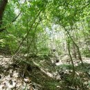 곤룡쉼터 이미지