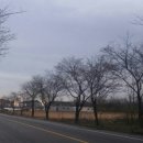 신두리해수욕장 이미지