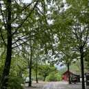아침햇살 | 충주 오토 캠핑장|햇살아래 캠핑장 내돈내산 솔직후기
