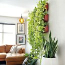 해태세탁소 이미지