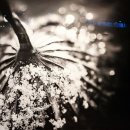 범어사 성보박물관 이미지