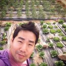 별샘농장 이미지