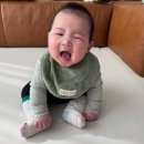 옐로블루 | 내돈내산 얼쓰빕(EARTH BIB) 색상 추천｜에크루·크림·그린·블루·옐로우·레드 비교 후기