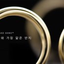 와이메드 - 송파구 풍성로5길 19 | 와이메드