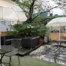 더그리다;뷰티 | [부산 / 부산진구] 앞머리 넘길 때 자신감 생긴 헤어라인왁싱 더그리다