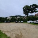 삼성문규 | [인천/강화] 강력 추천 애견 동반 힐링여행 애견동반 수영장 펜션 콩스빌리지