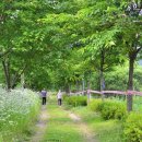 금강로하스 해피로드(1) 이미지