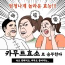 효소먹은돼지 | 카무트 효소 효능 부작용 먹는법 완벽정리(+카무트 쌀 효능 밥짓기)