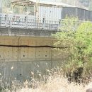 아미다인 이미지