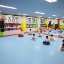 즐거운태권도 이미지