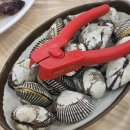 황금회관 | [벌교 맛집] 정가네 원조 꼬막회관 본점 꼬막정식 솔직 후기 (양념 황금비율의 맛)