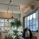 팜팜 | 연남동 브런치 카페 팜팜발리 레몬파스타 후기