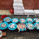 5일시장(어물전) 이미지