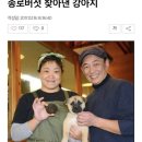 카포 이미지