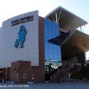 장생포고래로 이미지