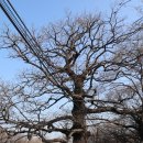 운흥경로당 이미지