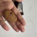 쿠킷쿠킷 | 다이어트 간식 추천 l 빙그레 99칼로리칩, 초코칩 구움쿠킷 구매 후기