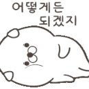 깜지피오피 이미지