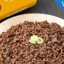 언양석쇠 불고기 이미지