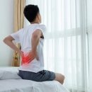“딱딱한 침대가 허리에 좋다?”…허리 통증에 대한 6가지 오해와 진실 이미지