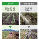 (주)팜한농 - 논산시 | (주)팜한농