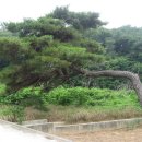 청림축산 이미지