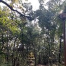 채식요리(주간) 이미지