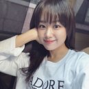 송지은 카카오 검색결과