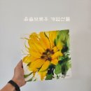 윤솔브로우 이미지
