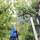 영포농장 이미지