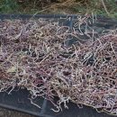 연두농장 이미지