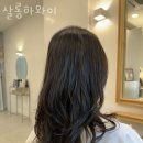 살롱하와이 이미지