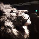 씨앤씨미술학원 이미지