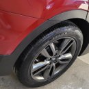 명품덴트칼라 이미지