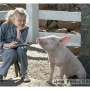 샬롯의 거미줄 이미지