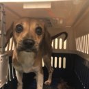 선경마트 이미지