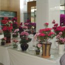 조이플라자 이미지