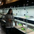 스마트 애견 이미지