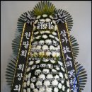 여주-0806 Daum카페