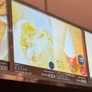 나루바이오 | 받기, 인디고트래블, 눈 없는 크리스마스 트리, 준페이 후기, 징기스칸 아라타나루 본즈 스스키노 후기)