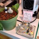 4752 | 대구 반월당 카페 라이프앤커피 | 버터떡 솔직 후기 (해피아워 할인, 주차X)