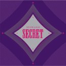 씨크릿 이미지