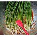 유기농 쪽파김치 담았습니다 이미지