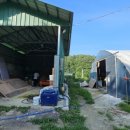 팔음농장 이미지