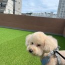 놀아줄개 | 부산 동구 놀아줄개, 영업시간, 가는법, 후기