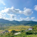 신흥민박 | 청산도 펜션 가족 숙소 3박 4일 숙박 청산도 여행 펜션 후기