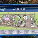 원주종합운동장 다목적경기장 이미지