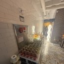 만남 | 강남 로테이션 소개팅 &#34;만남살롱&#34; 추천 후기