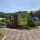 솔섬 오토캠핑장 관광펜션 | 영주 영주호오토캠핑장 동물형카라반 디지털관광주민증 할인