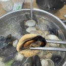 유명한 칼국수 | 수원 현지인 맛집으로 유명한 수원 칼국수 <물총칼국수> 솔직후기